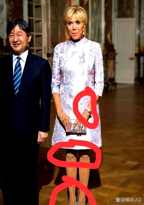 马克龙总统和她的夫人贺锦丽（马克龙经历）