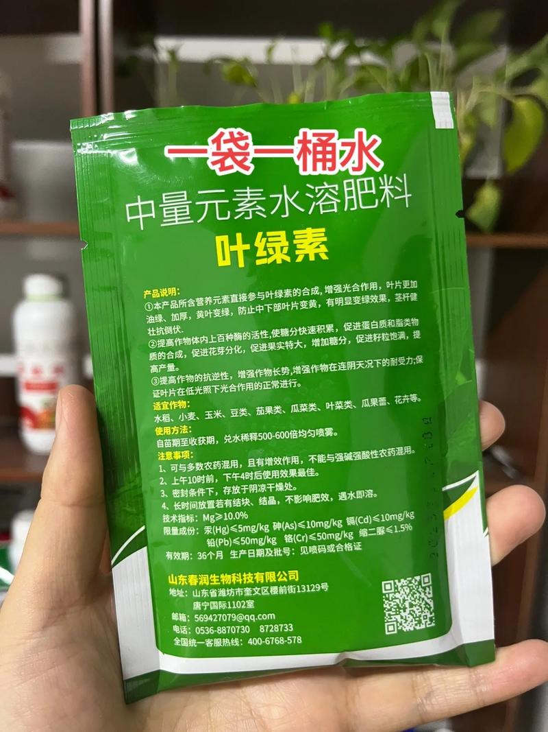 人工叶绿素光合作用(人工叶绿素无法合成)