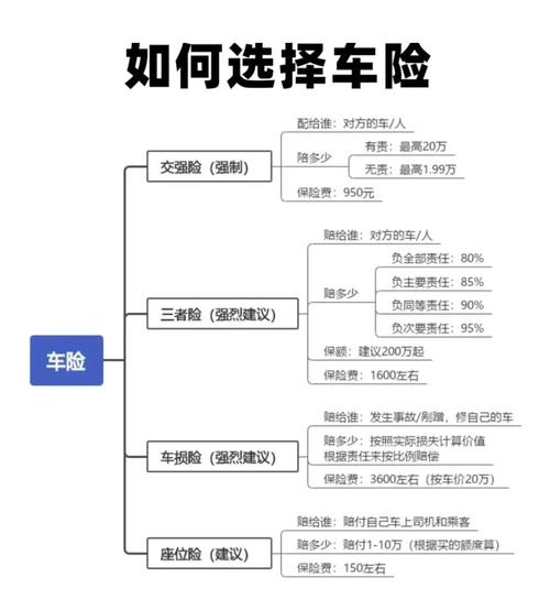 租车保险选购流程（租车的保险保什么）