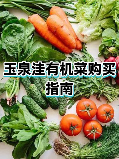 有机蔬菜认证流程（有机蔬菜认证怎么申请）