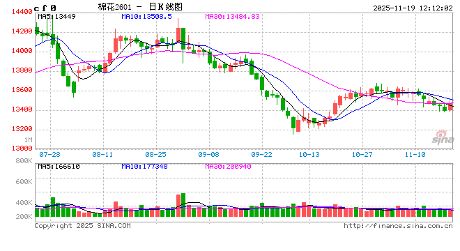 供强需弱持续,郑棉短期承压